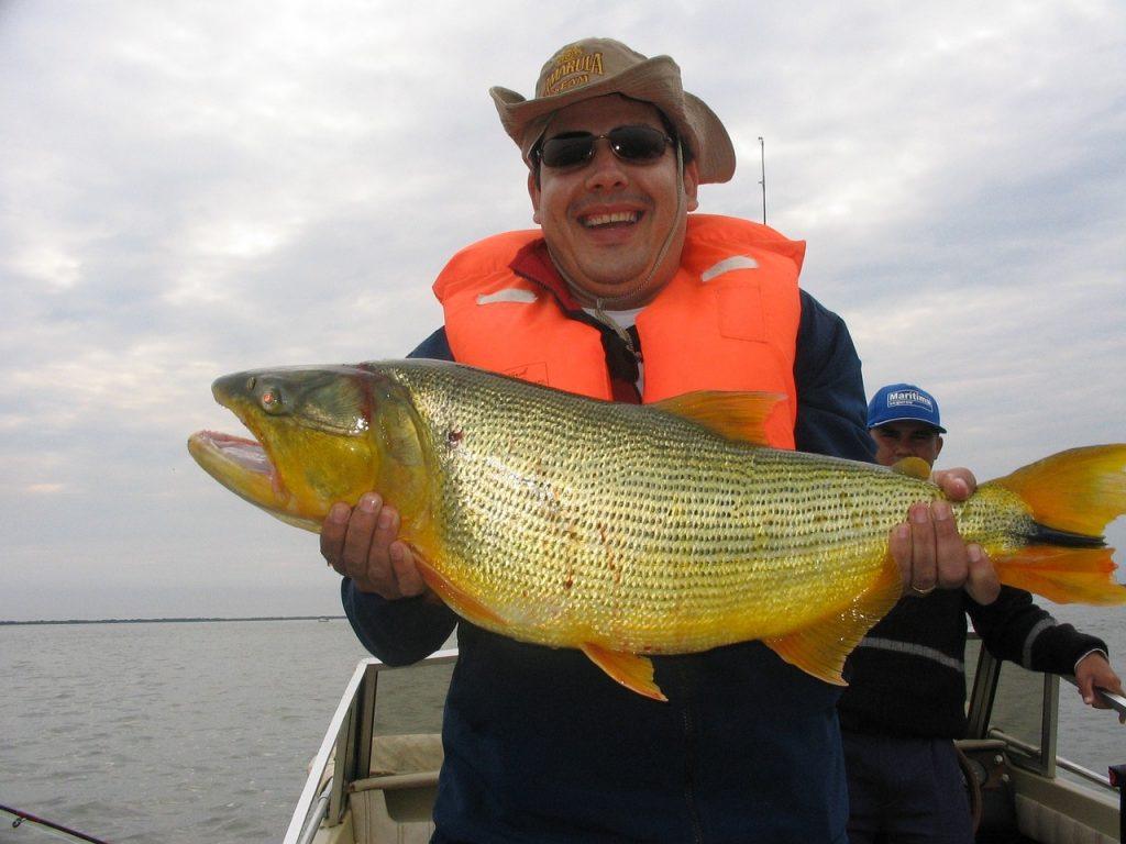 Que signifie rêver d'un gros poisson ?